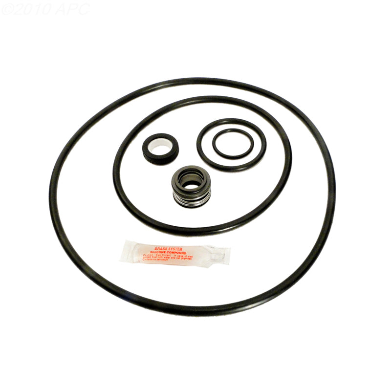 Sta-Rite P4E / P4EA Pump Repair Kit (APCK1033)