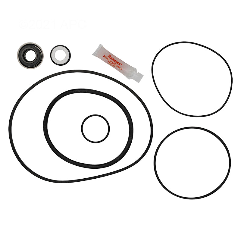 American Products Maxim II Pump Repair Kit (APCK1039)