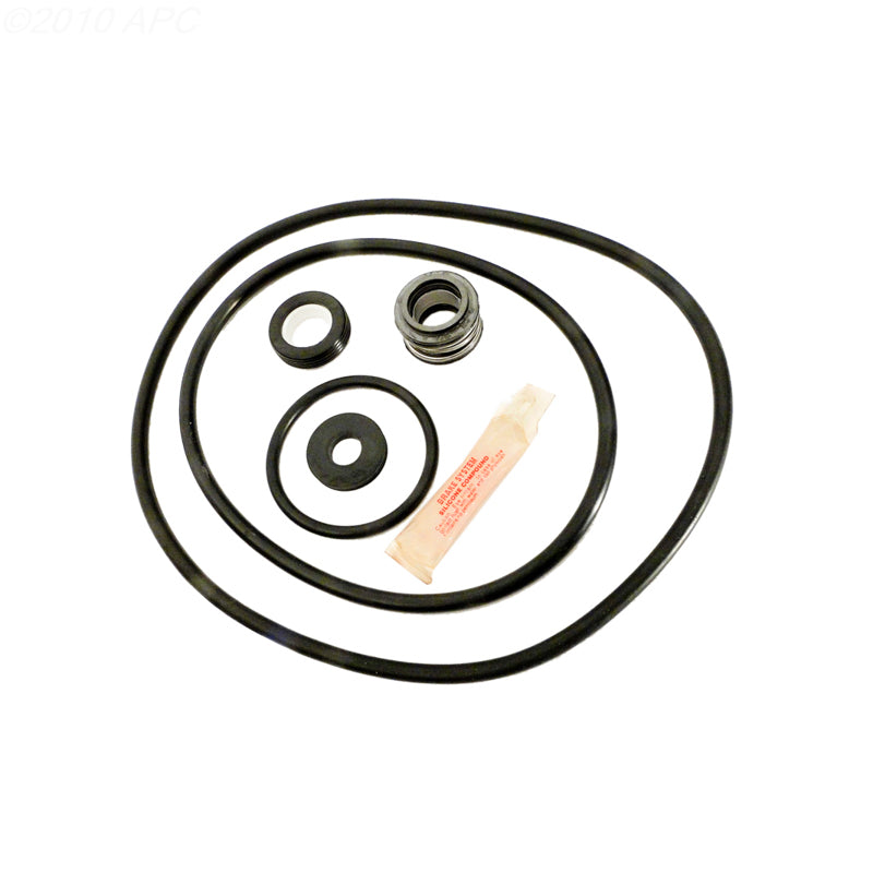 Sta-Rite Dyna-Glas Pump Repair Kit (APCK1040)