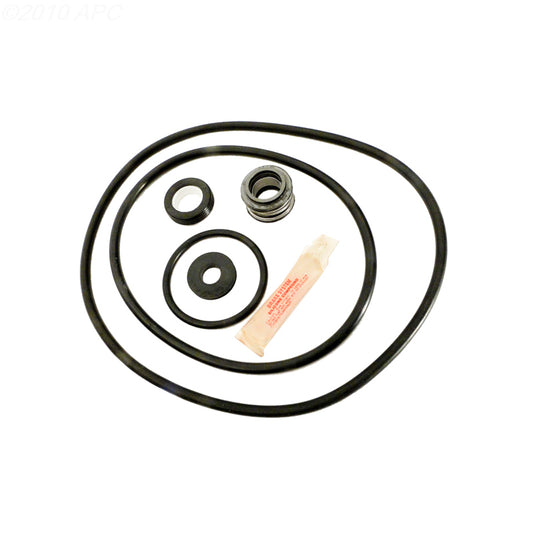 Sta-Rite Dyna-Glas Pump Repair Kit (APCK1040)