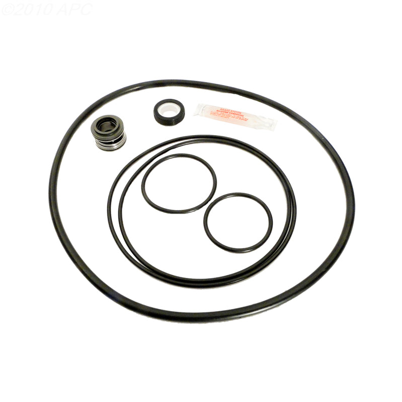 Aladdin Dominator Post-1995 Pump Repair Kit (APCK1041)