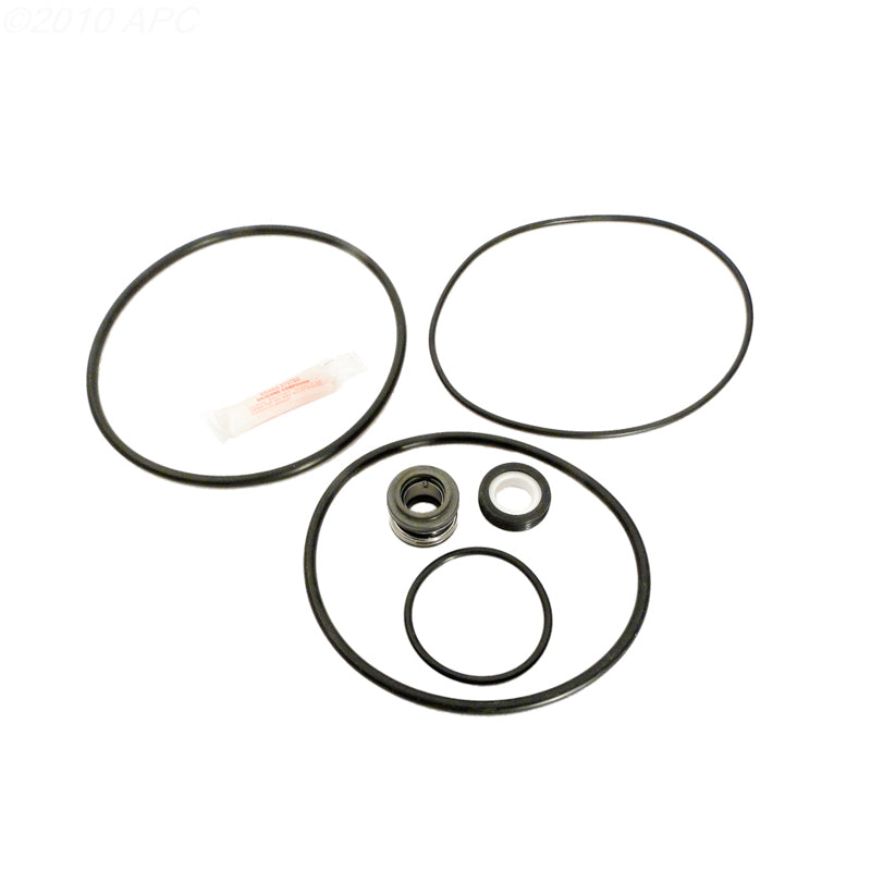 Purex Dynamo Pump Repair Kit (APCK1042)