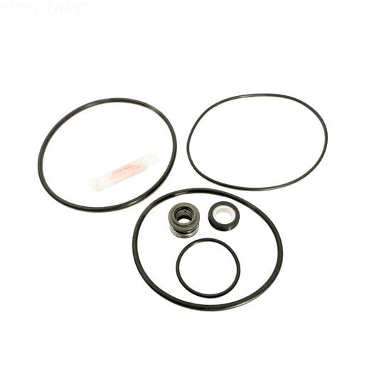 Purex Dynamo Pump Repair Kit (APCK1042)