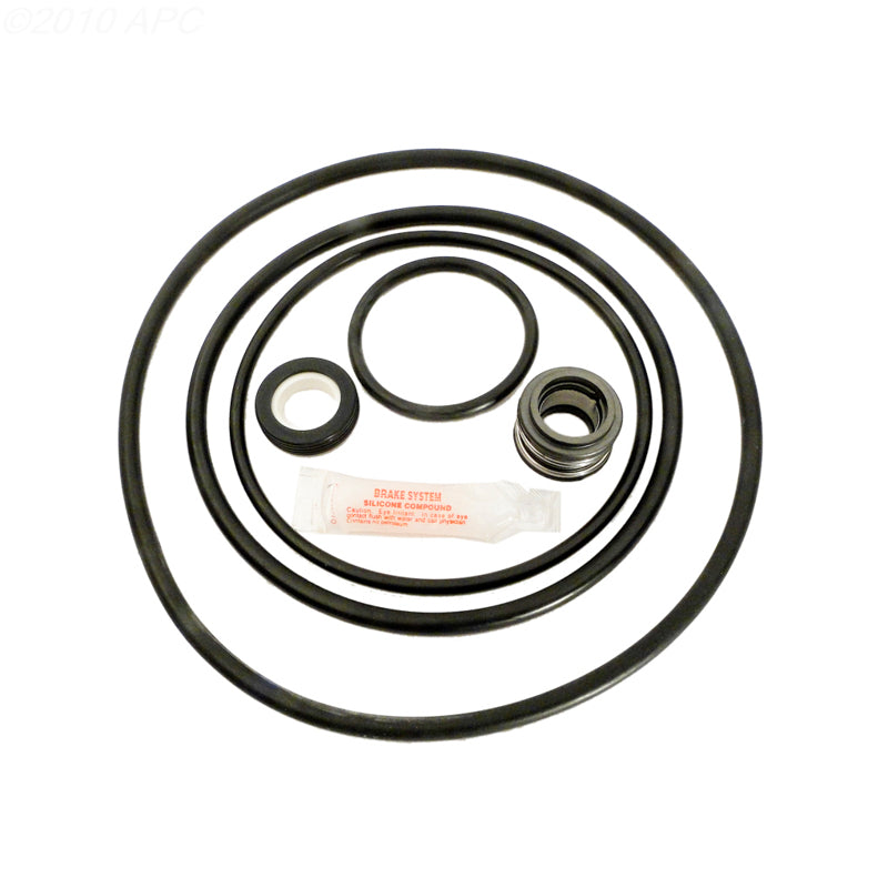 Sta-Rite J-Series Pump Repair Kit (APCK1043)