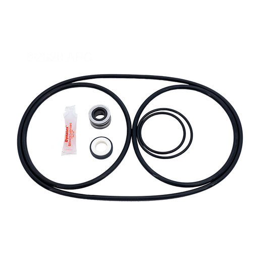 Pentair Pac-Fab Challenger Pump Repair Kit with Premium Seal (APCK1046A)