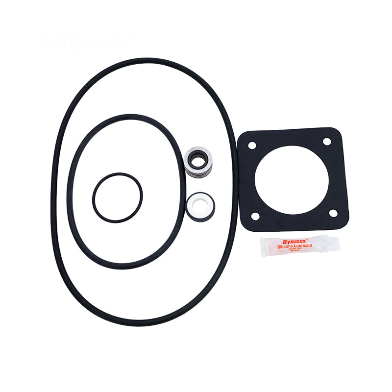 Sta-Rite Dura-Glas / Maxi-Glas Pump Repair Kit with Premium Seal, 1998 to Present (APCK1051A)