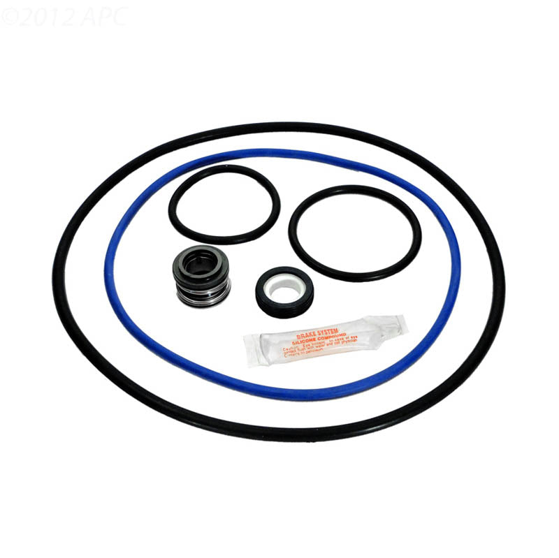 Hayward NorthStar Pump Repair Kit, Pre-2003 (APCK1064)