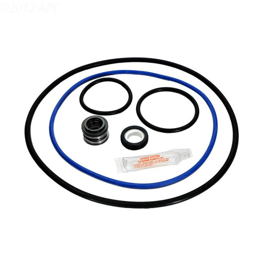 Hayward NorthStar Pump Repair Kit, Pre-2003 (APCK1064)