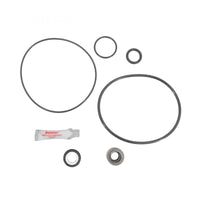 Waterway JS-Series Pump Repair Kit (APCK1066)