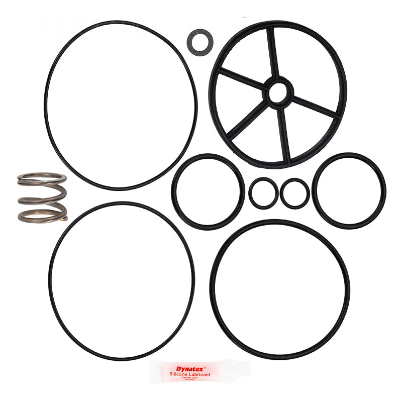 Pentair Pac-Fab 1.5-Inch Multiport Valve Repair Kit with Spring (APCK1067S)