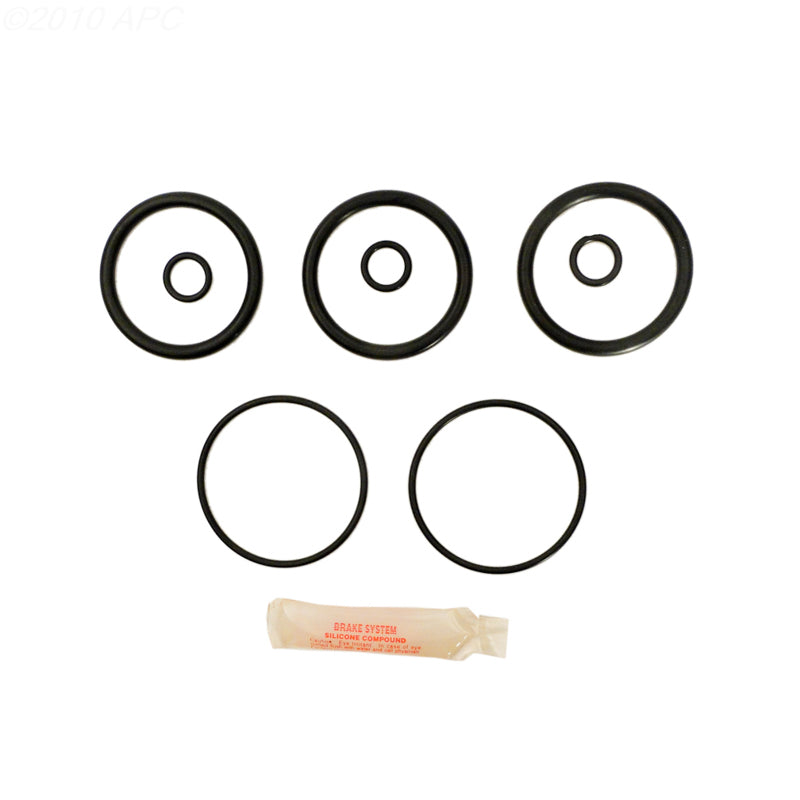 Anthony Pulsator Valve Repair Kit (APCK1068)