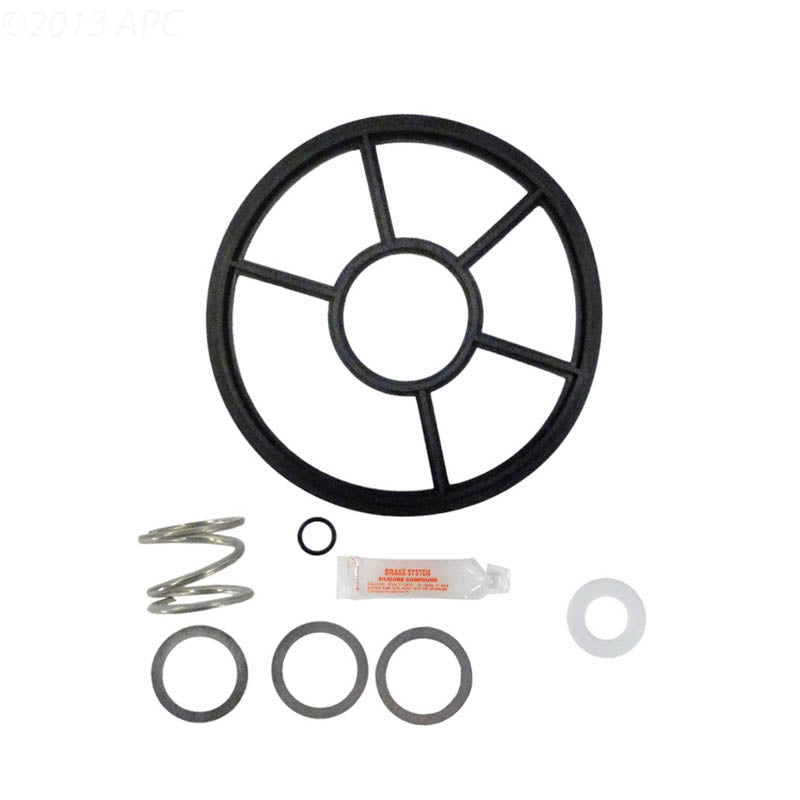 Pentair Pac-Fab 2-Inch HiFlow Valve Repair Kit with Spring (APCK1073S)