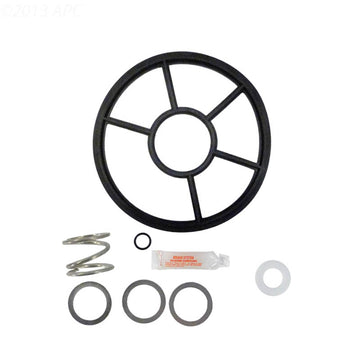 Pentair Pac-Fab 2-Inch HiFlow Valve Repair Kit with Spring (APCK1073S)