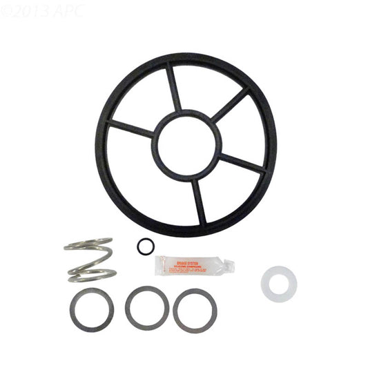 Pentair Pac-Fab 2-Inch HiFlow Valve Repair Kit with Spring (APCK1073S)