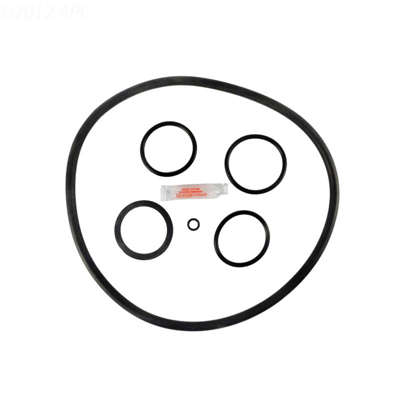 Pentair Pac-Fab / Purex / Triton Nautilus Filter Repair Kit (APCK1079)