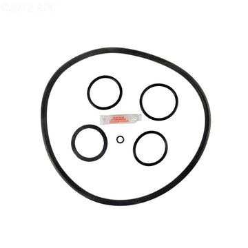 Pentair Pac-Fab / Purex / Triton Nautilus Filter Repair Kit (APCK1079)