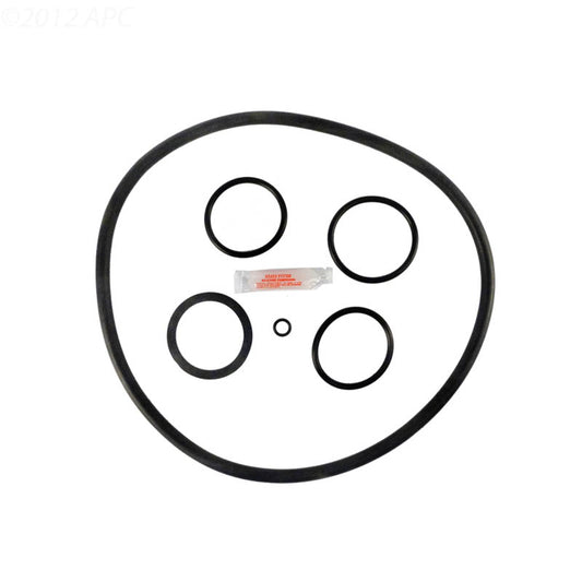 Pentair Pac-Fab / Purex / Triton Nautilus Filter Repair Kit (APCK1079)