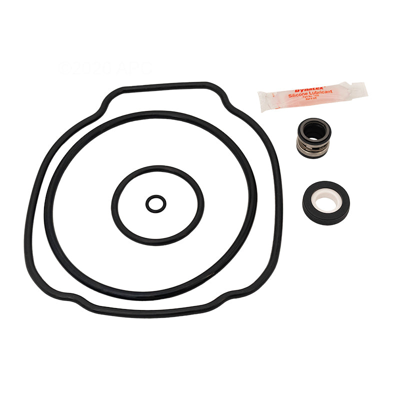 Hayward EcoStar / EnergyFlo TriStar Pump Repair Kit (APCK1090A)