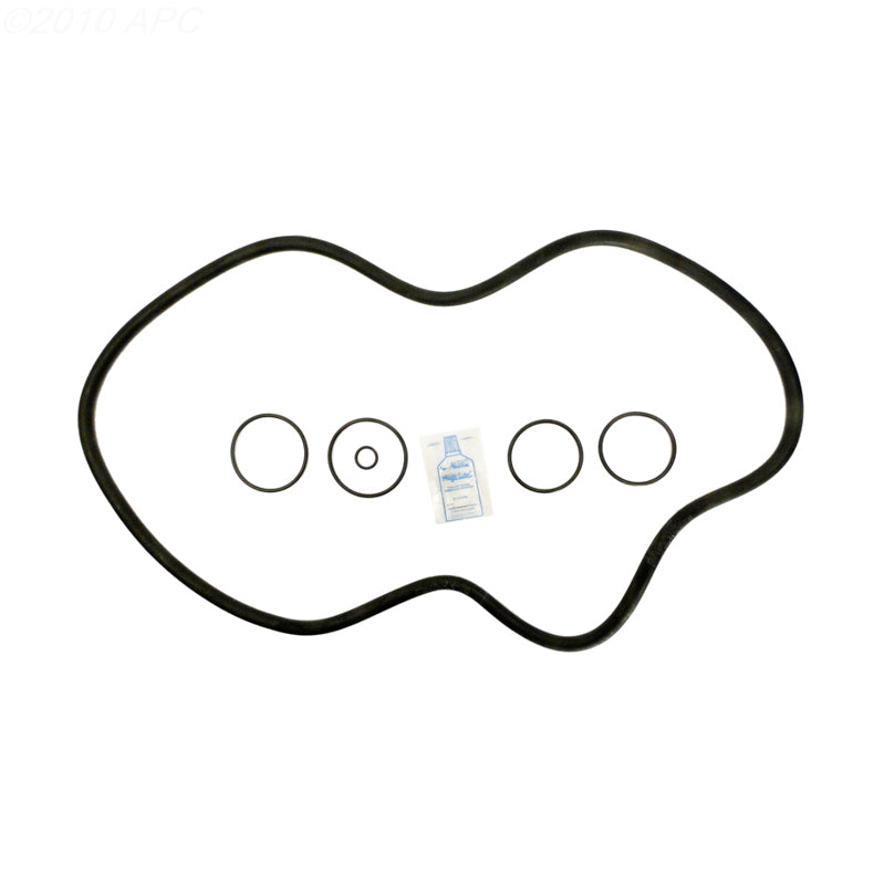 Hayward C3000 / C4000 Cartridge Filter O-Ring Kit (APCK1105)