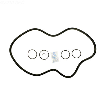 Hayward C3000 / C4000 Cartridge Filter O-Ring Kit (APCK1105)