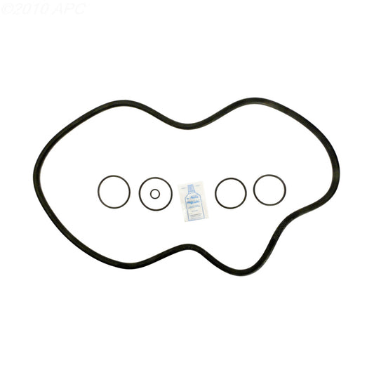 Hayward C3000 / C4000 Cartridge Filter O-Ring Kit (APCK1105)