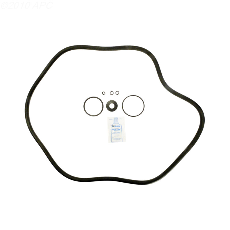 Hayward C3000S / C4000S Cartridge Filter O-Ring Kit (APCK1109)
