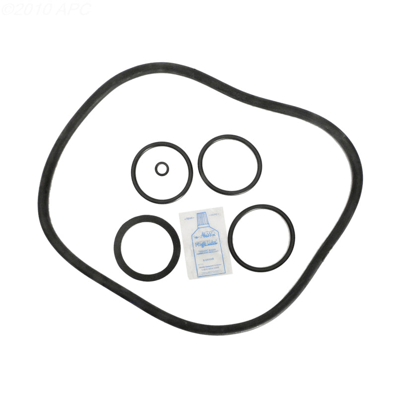 Pentair Pac-Fab FMY Cartridge Filter O-Ring Kit (APCK1118)