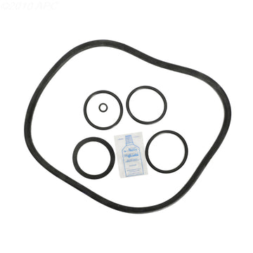 Pentair Pac-Fab FMY Cartridge Filter O-Ring Kit (APCK1118)