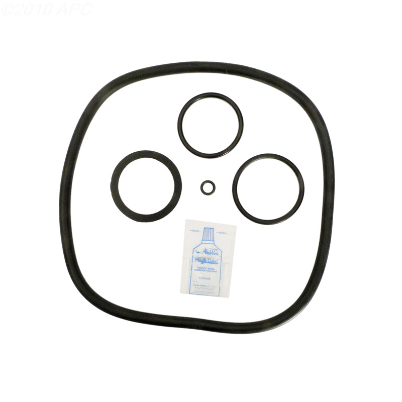 Pentair Pac-Fab Mitra-SS Cartridge Filter O-Ring Kit (APCK1120)