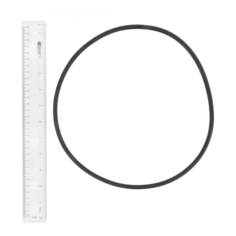 Sta-Rite PTM70 / PTM100 Sand Filter O-Ring Kit (APCK1122)