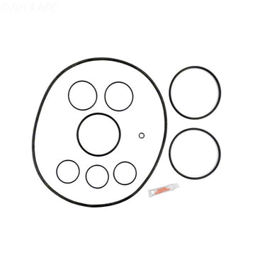 Astral Terra Cartridge Filter O-Ring Kit (APCK1130)