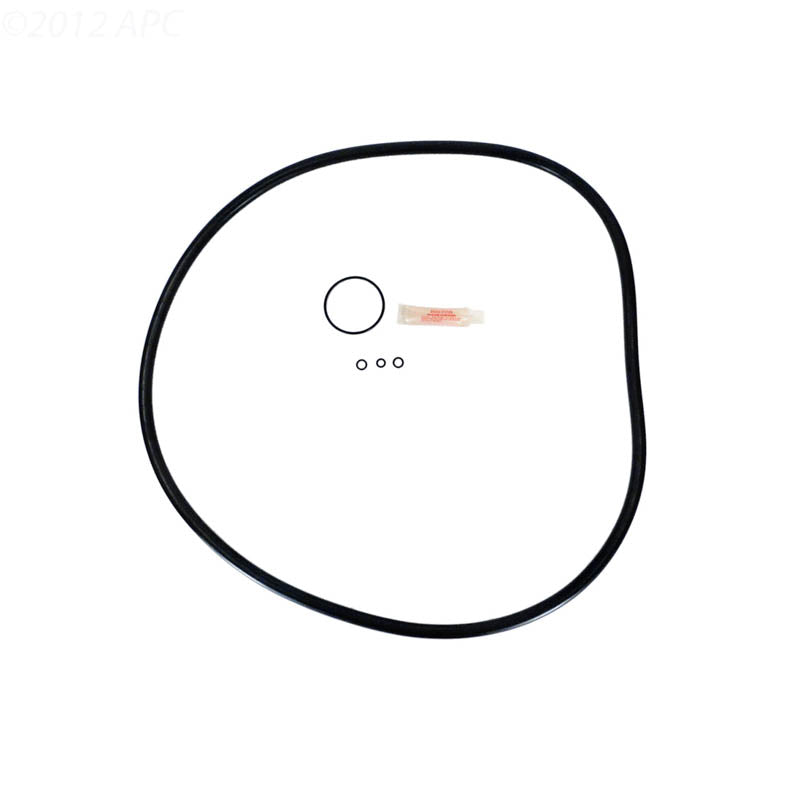 Hayward DE Series Filter O-Ring Kit (APCK1153)