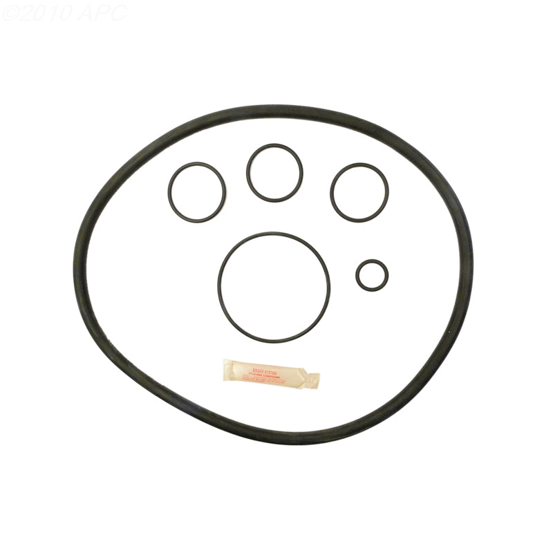 Pentair Pac-Fab Star DE Filter O-Ring Kit (APCK1155)