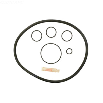 Pentair Pac-Fab Star DE Filter O-Ring Kit (APCK1155)