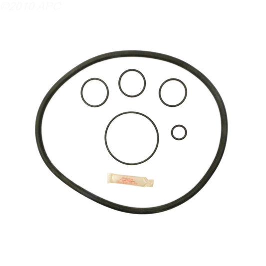 Pentair Pac-Fab Star DE Filter O-Ring Kit (APCK1155)