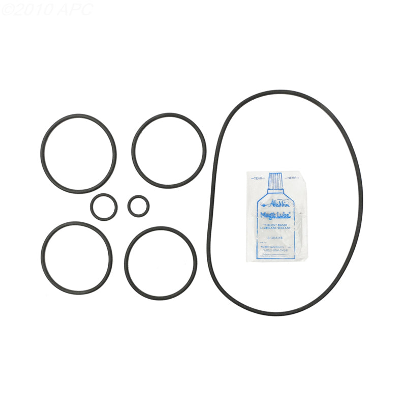 Pentair Pac-Fab 2000 DE Filter O-Ring Kit (APCK1157)