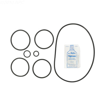 Pentair Pac-Fab 2000 DE Filter O-Ring Kit (APCK1157)
