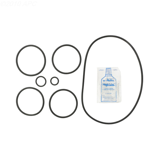 Pentair Pac-Fab 2000 DE Filter O-Ring Kit (APCK1157)