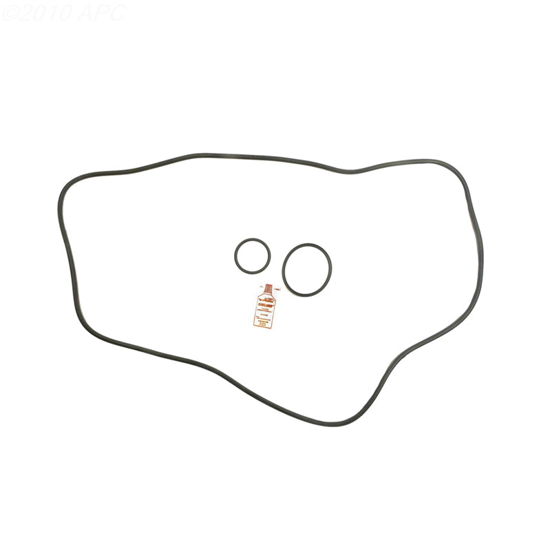 Sta-Rite DEP51 DE Filter O-Ring Kit (APCK1159)