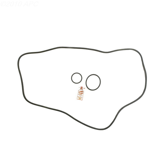 Sta-Rite DEP51 DE Filter O-Ring Kit (APCK1159)