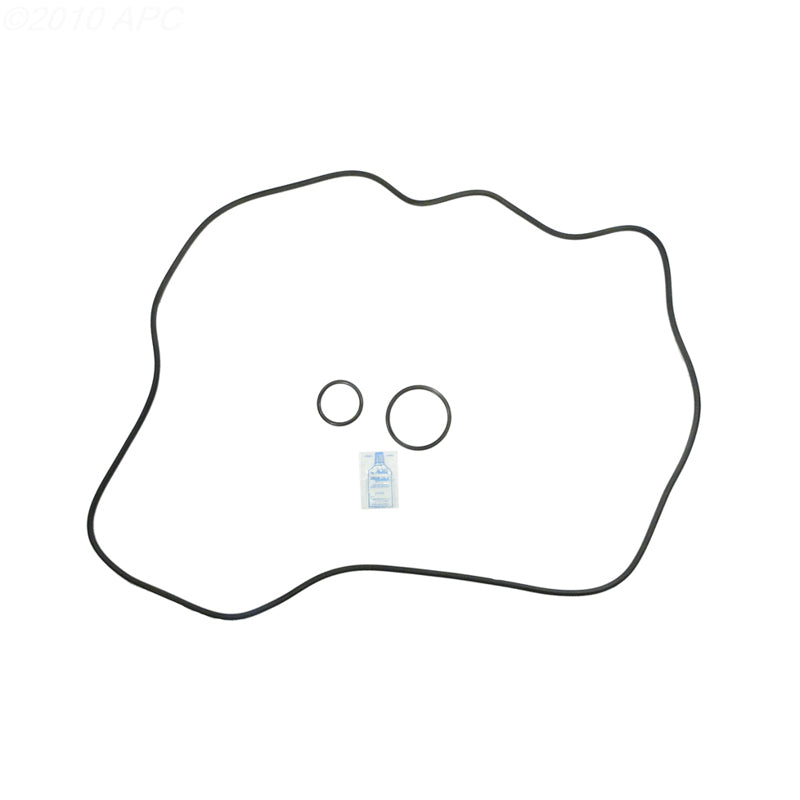 Sta-Rite DEP83 DE Filter O-Ring Kit (APCK1160)