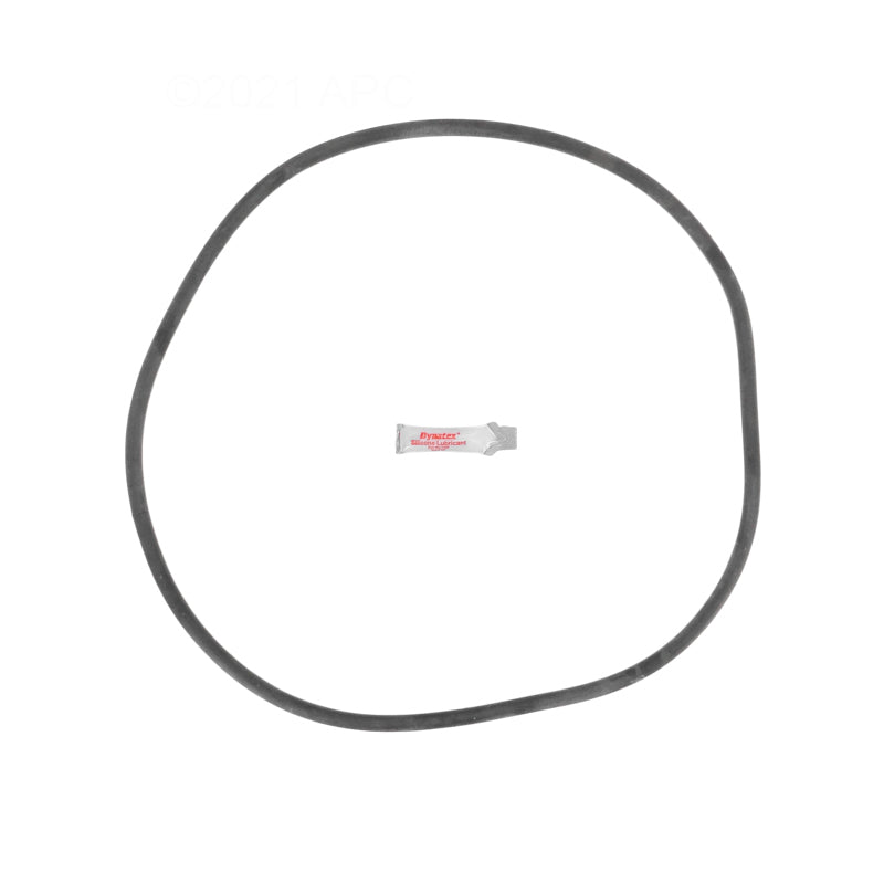 Sta-Rite DES25 DE Filter O-Ring Kit (APCK1161)