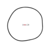 Sta-Rite DES25 DE Filter O-Ring Kit (APCK1161)
