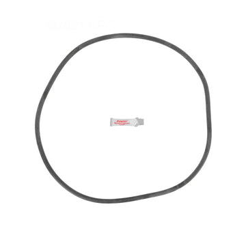 Sta-Rite DES25 DE Filter O-Ring Kit (APCK1161)