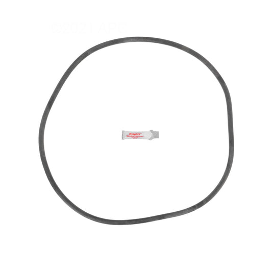 Sta-Rite DES25 DE Filter O-Ring Kit (APCK1161)