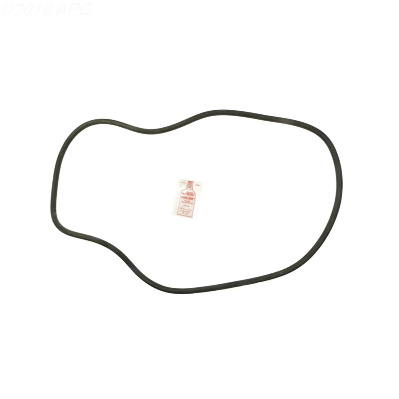 Sta-Rite DES36 DE Filter O-Ring Kit (APCK1162)