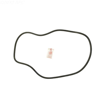Sta-Rite DES36 DE Filter O-Ring Kit (APCK1162)