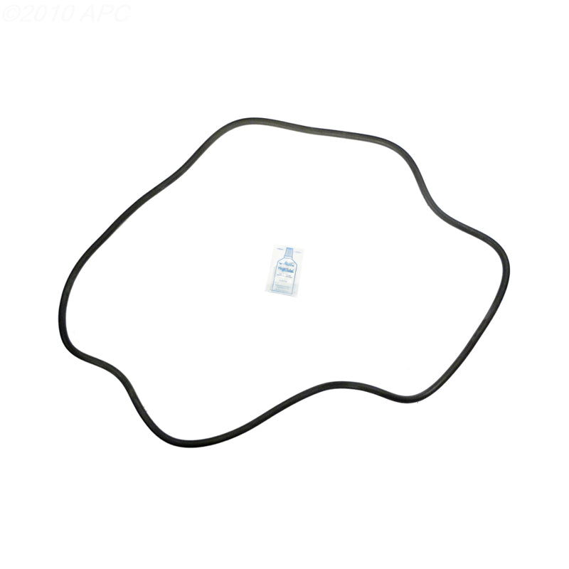 Sta-Rite DES51 DE Filter O-Ring Kit (APCK1163)