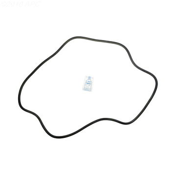Sta-Rite DES51 DE Filter O-Ring Kit (APCK1163)