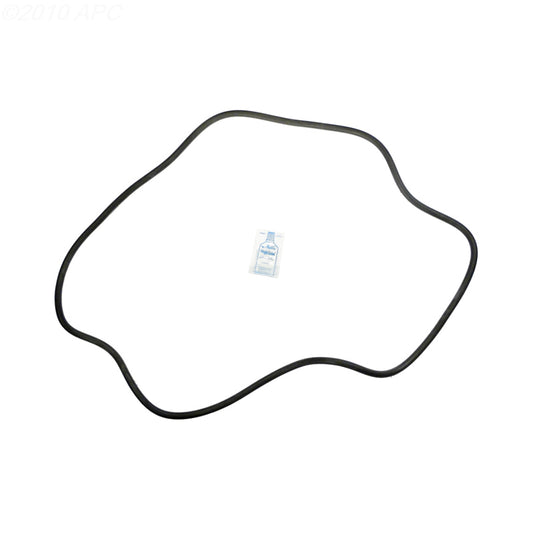 Sta-Rite DES51 DE Filter O-Ring Kit (APCK1163)
